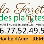 nathalie_graphiste_autocollant_sticker_parebrise_voiture